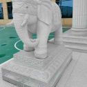 赣州 白麻花岗岩动物异形石雕-大象