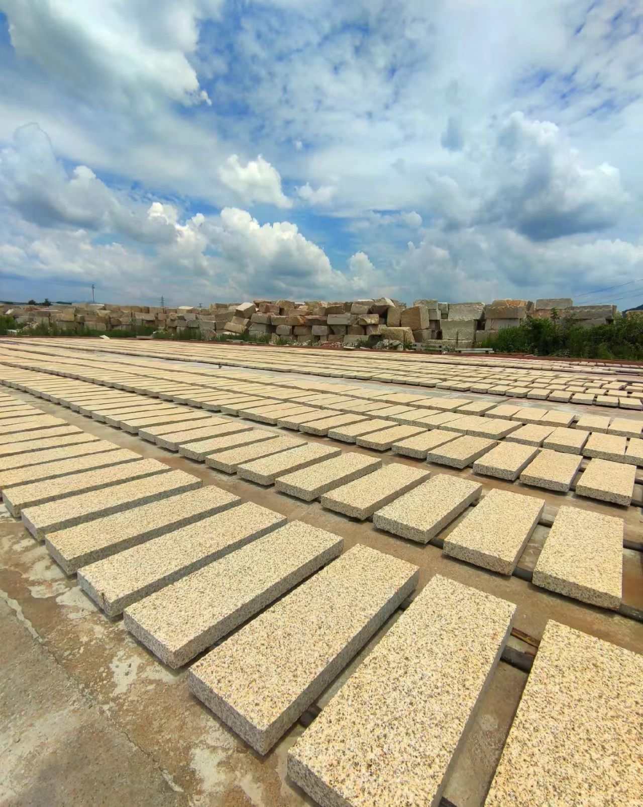 赣州 黄金麻花岗岩荔枝面地铺石防护中