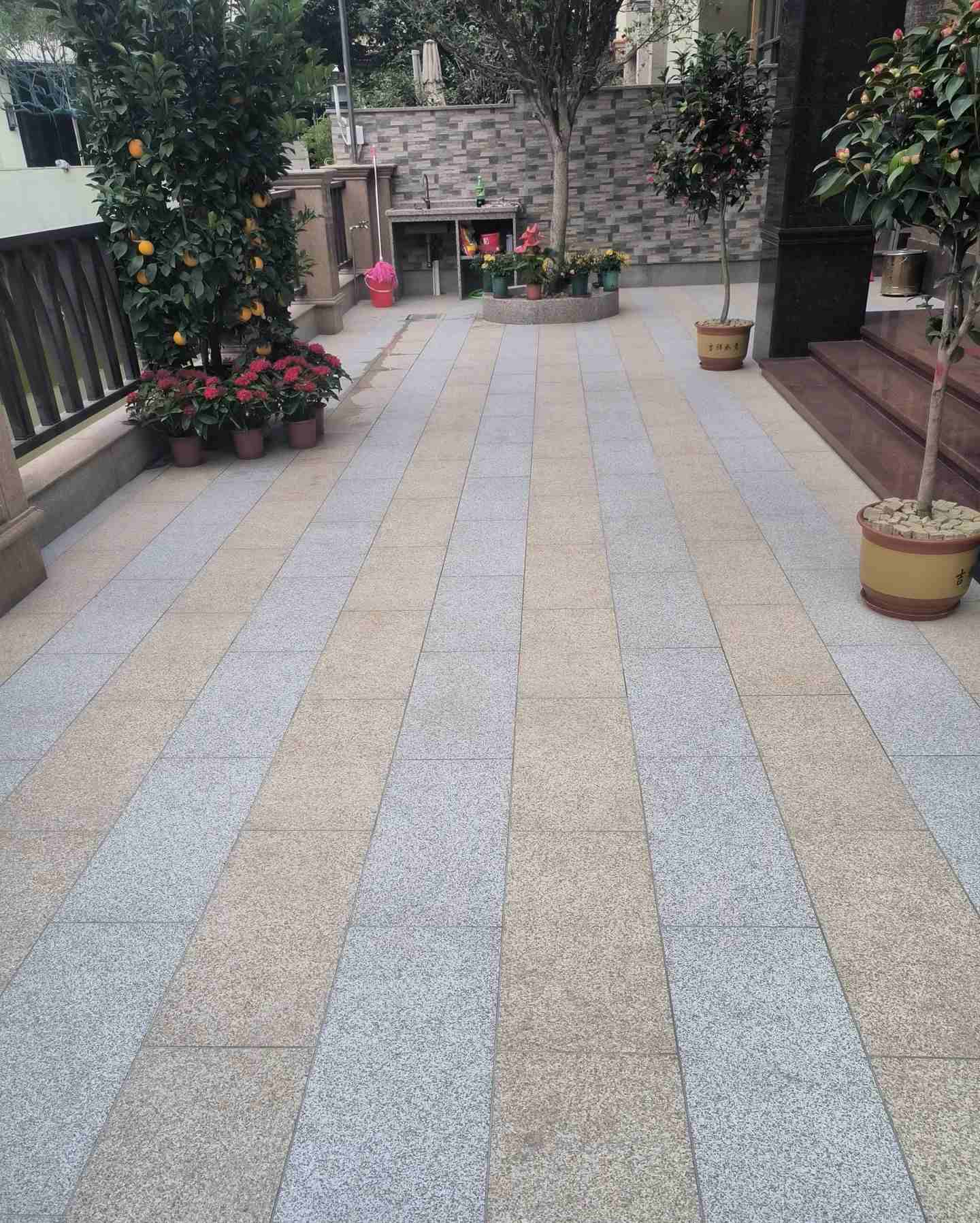 赣州 黄金麻白麻荔枝面庭院铺装展示