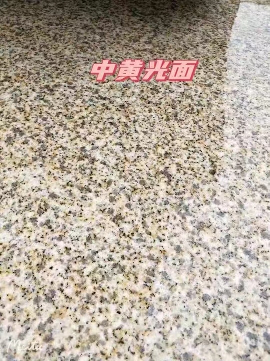 赣州黄金麻中黄光面