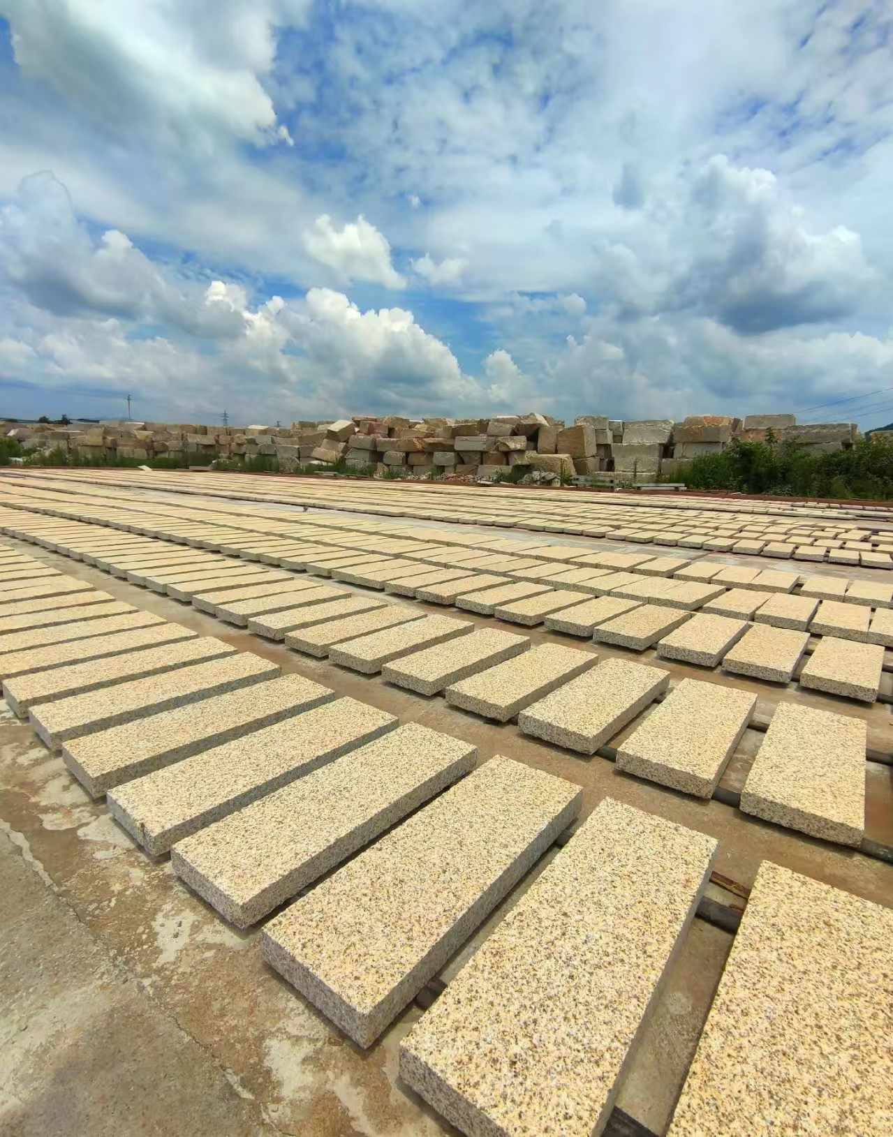 赣州 黄金麻荔枝面花岗岩石材地铺石防护中